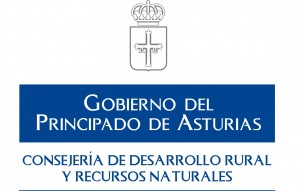 Logo Consejería Desarrollo Rural(A color)-RGB
