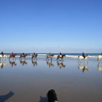 Promenades à cheval