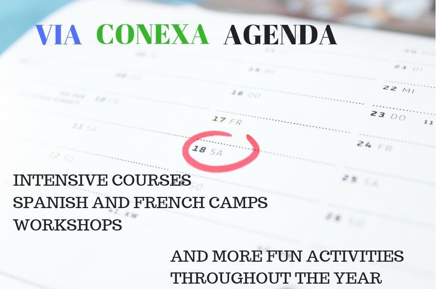 VIA CONEXA AGENDA