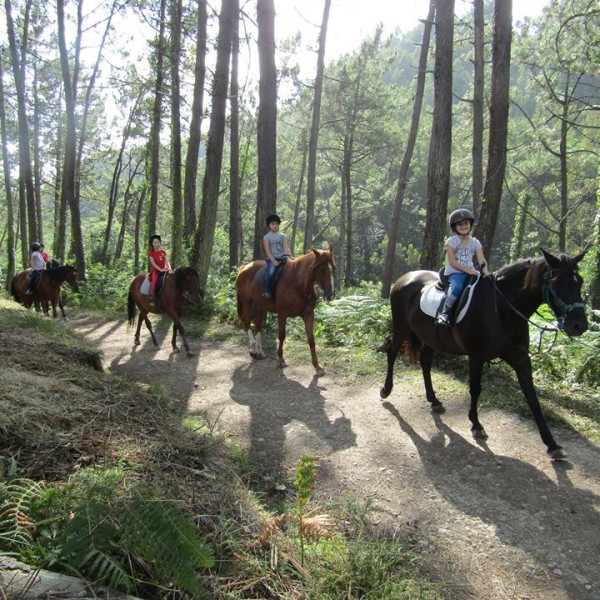 Horse riding