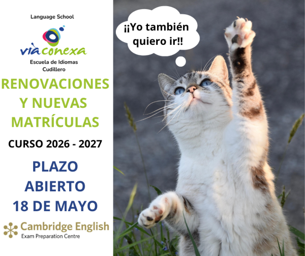 Matrículas Escuela de Idiomas Via Conexa Cudillero 2026 2027